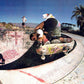 TOXIC - Denny Riordan ICARUS Deck 9.5” x 31" - ORANGE/BLACK
